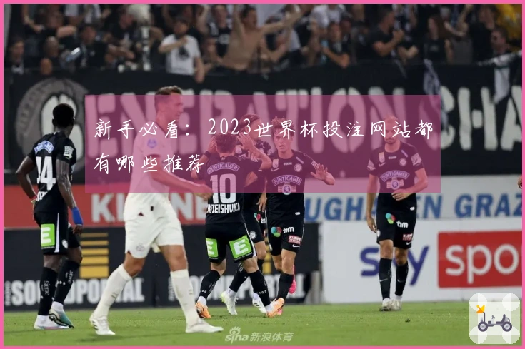 新手必看：2023世界杯投注网站都有哪些推荐