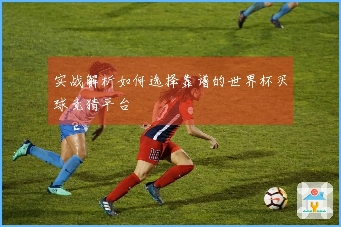 实战解析如何选择靠谱的世界杯买球竞猜平台