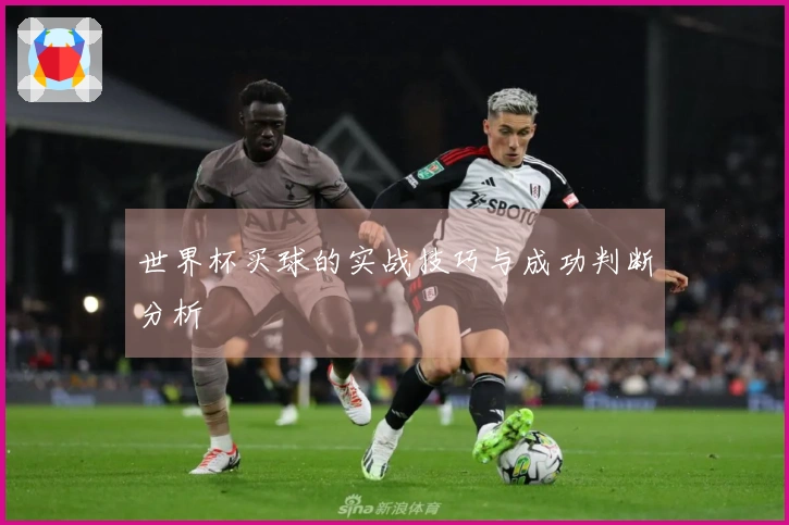 世界杯买球的实战技巧与成功判断分析