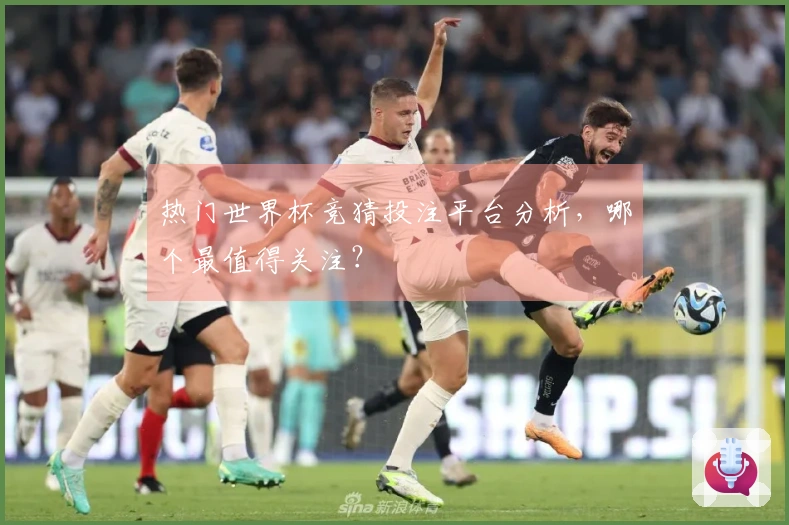 热门世界杯竞猜投注平台分析，哪个最值得关注？