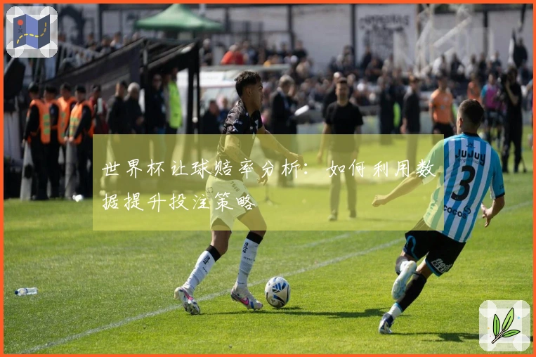 世界杯让球赔率分析：如何利用数据提升投注策略