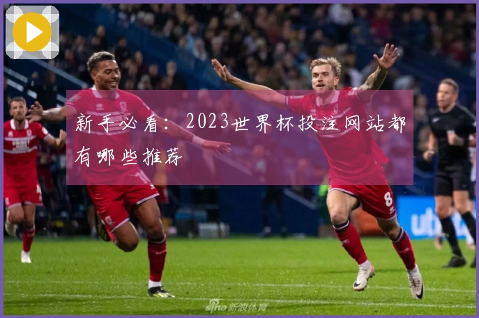 新手必看:2023世界杯投注网站都有哪些推荐