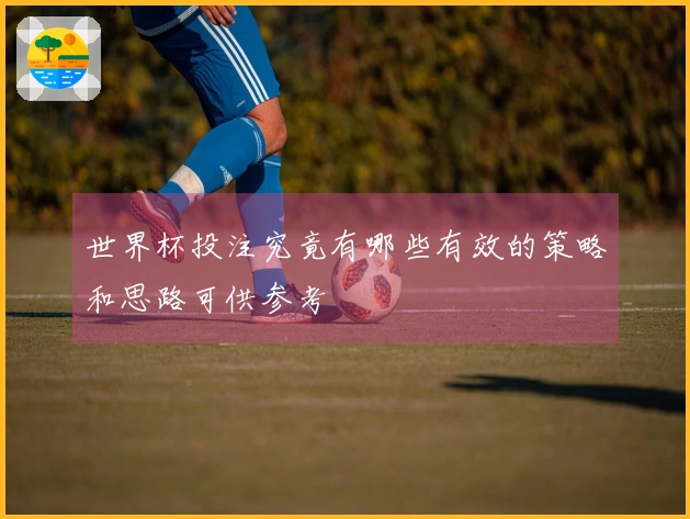 世界杯投注究竟有哪些有效的策略和思路可供参考