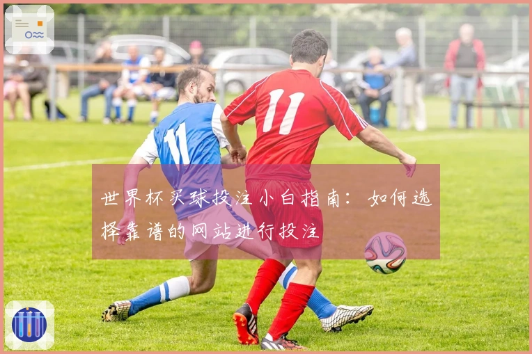世界杯买球投注小白指南：如何选择靠谱的网站进行投注