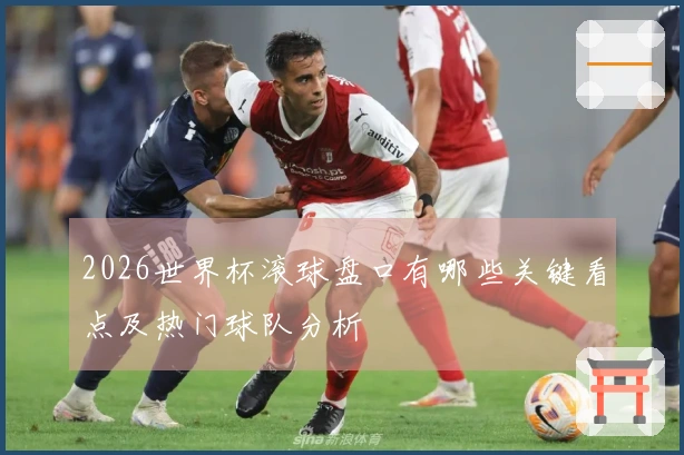 2026世界杯滚球盘口有哪些关键看点及热门球队分析