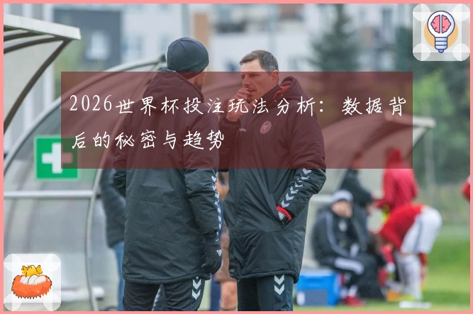 2026世界杯投注玩法分析：数据背后的秘密与趋势