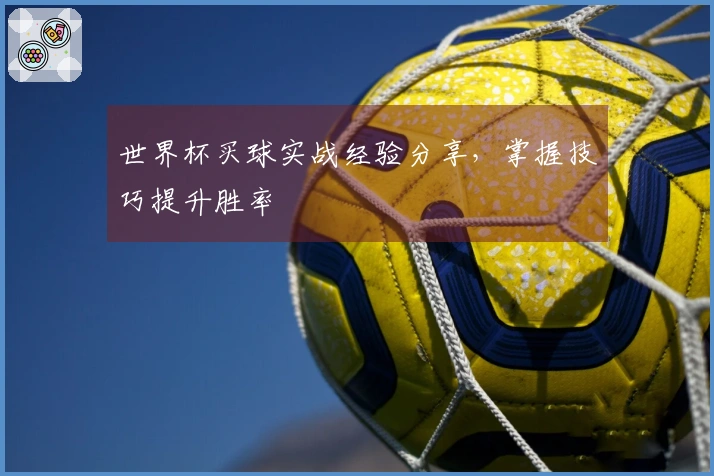 世界杯买球实战经验分享，掌握技巧提升胜率