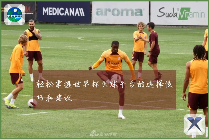轻松掌握世界杯买球平台的选择技巧和建议