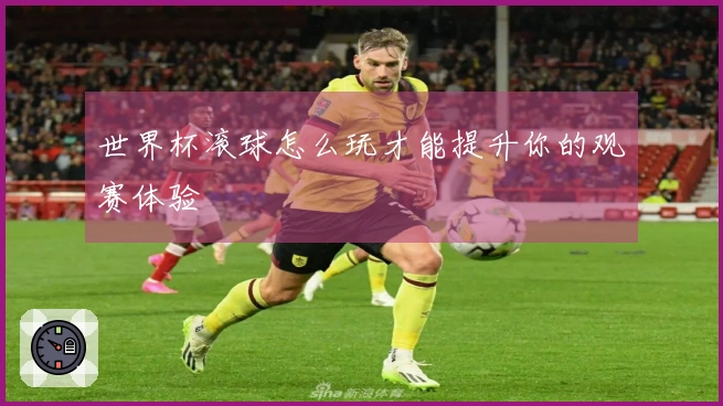 世界杯滚球怎么玩才能提升你的观赛体验