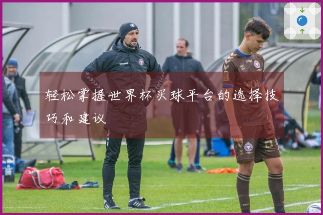 轻松掌握世界杯买球平台的选择技巧和建议
