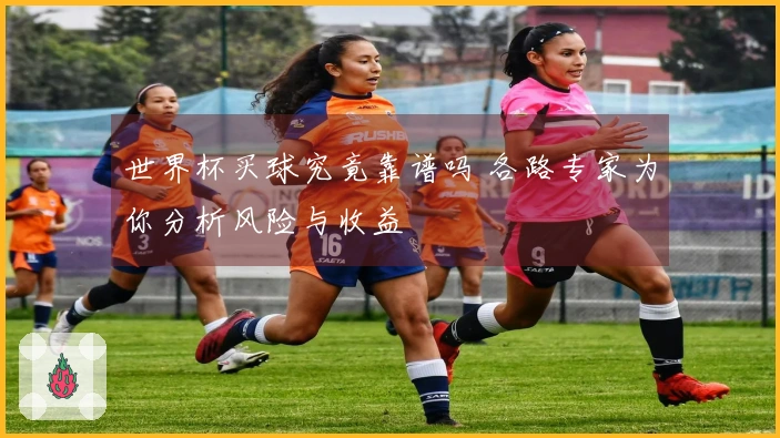 世界杯买球究竟靠谱吗 各路专家为你分析风险与收益