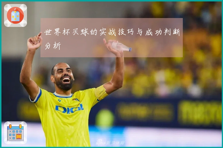 世界杯买球的实战技巧与成功判断分析