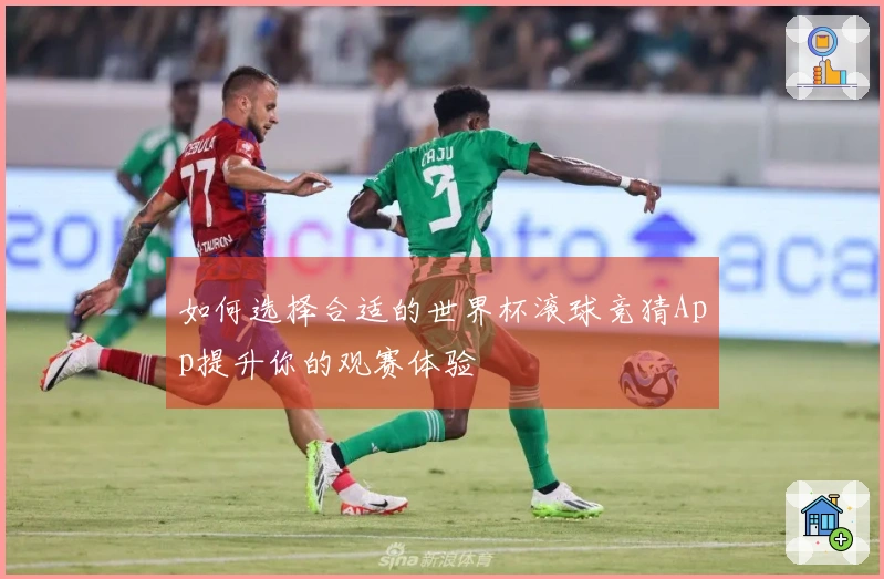 如何选择合适的世界杯滚球竞猜App提升你的观赛体验