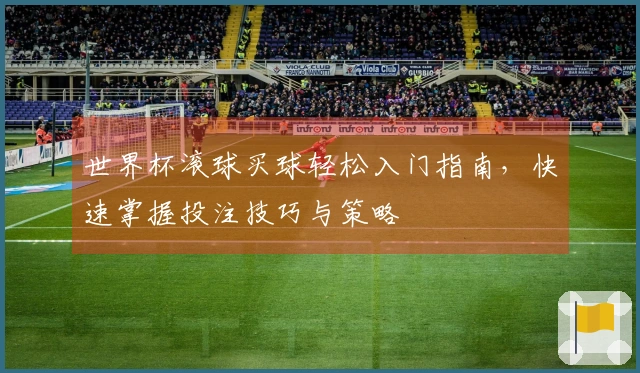 世界杯滚球买球轻松入门指南，快速掌握投注技巧与策略