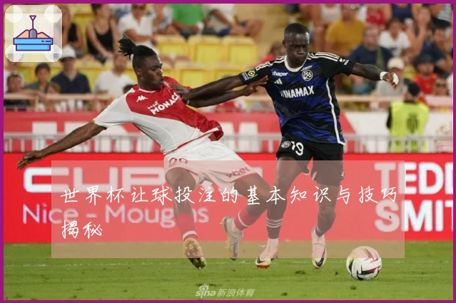 世界杯让球投注的基本知识与技巧揭秘