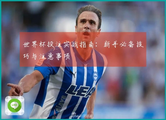 世界杯投注实战指南：新手必备技巧与注意事项