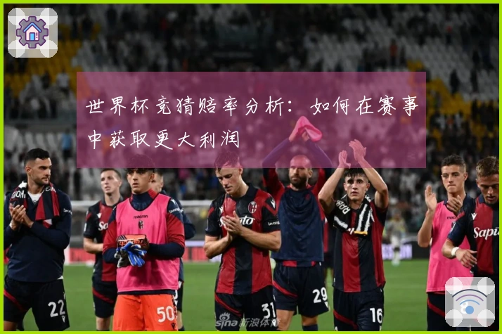 世界杯竞猜赔率分析：如何在赛事中获取更大利润