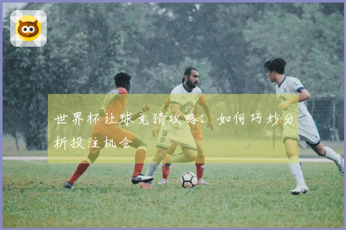 世界杯让球竞猜攻略：如何巧妙分析投注机会