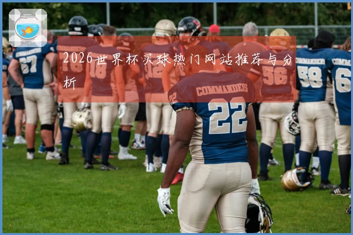 2026世界杯买球热门网站推荐与分析