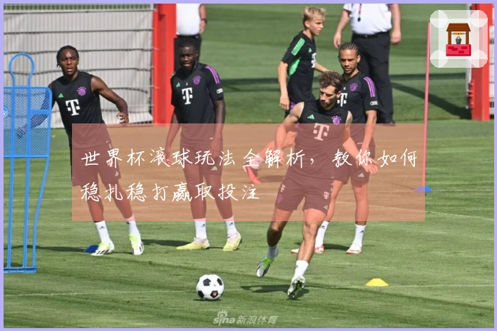 世界杯滚球玩法全解析，教你如何稳扎稳打赢取投注