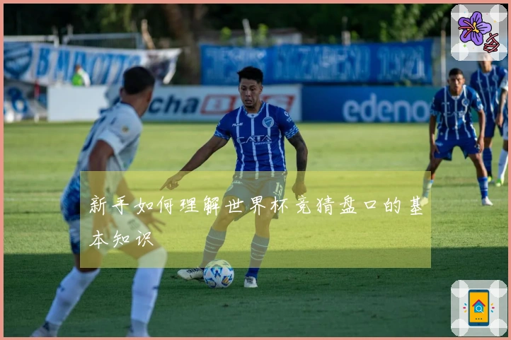 新手如何理解世界杯竞猜盘口的基本知识