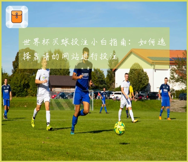世界杯买球投注小白指南：如何选择靠谱的网站进行投注